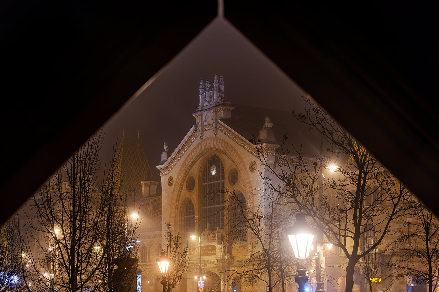 Fővám Square Market Hall in winter #1592