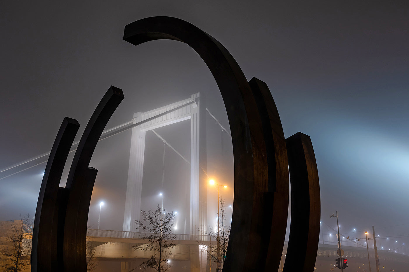 Elizabeth Bridge from March 15th Square in fog #1594
