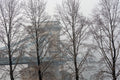 Foggy Chain Bridge in winter #1607