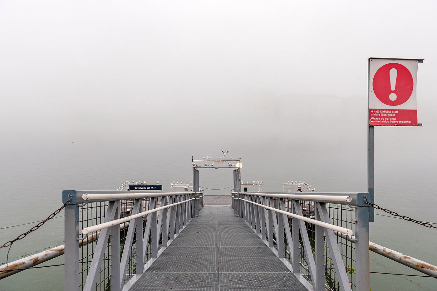 Danube pier in fog #1615