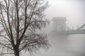 Foggy Chain Bridge in winter #1640
