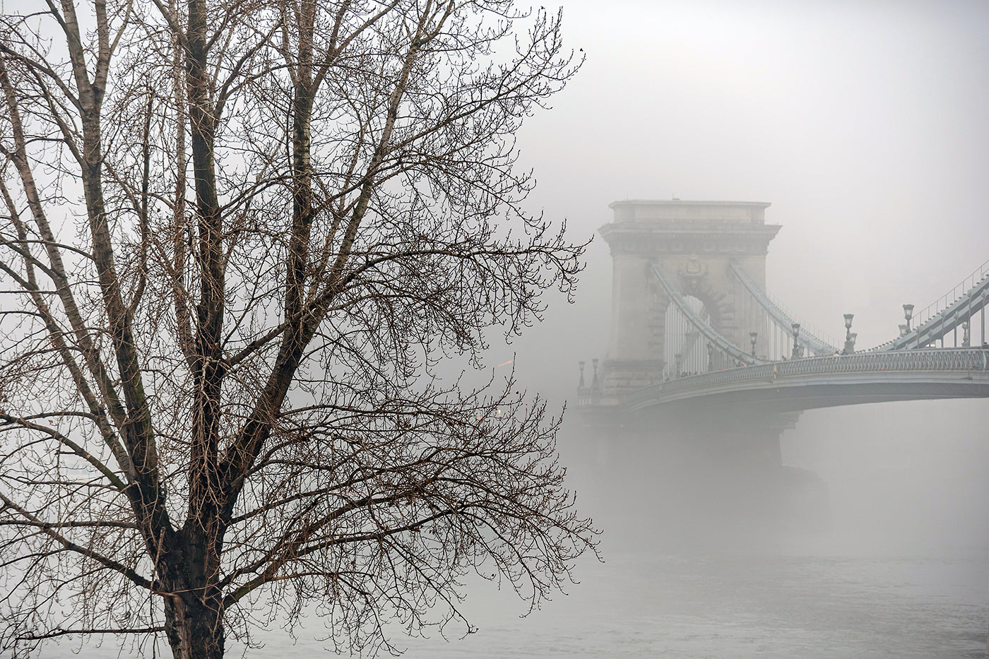 Foggy Chain Bridge in winter #1640