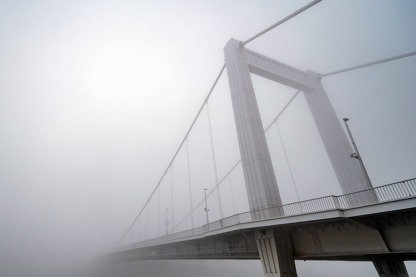 Elizabeth Bridge in fog #1643