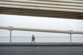 Elizabeth Bridge in fog #1646