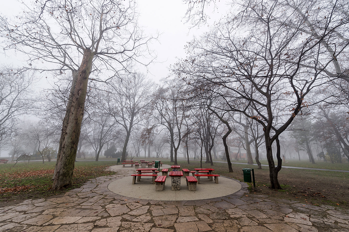 Fog in the City Park #1652