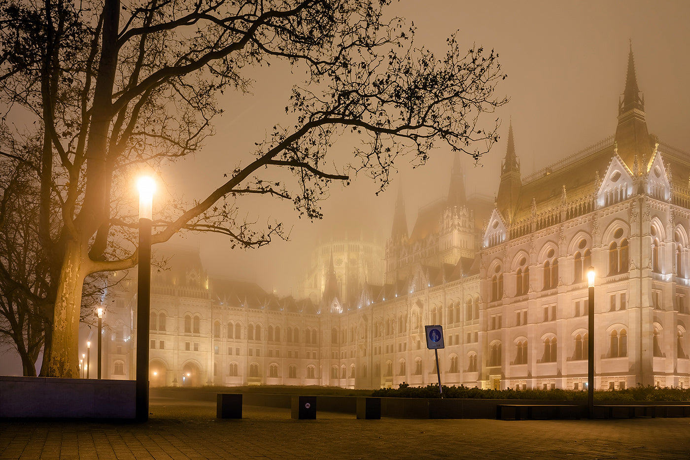 Evening Parliament in fog #1653