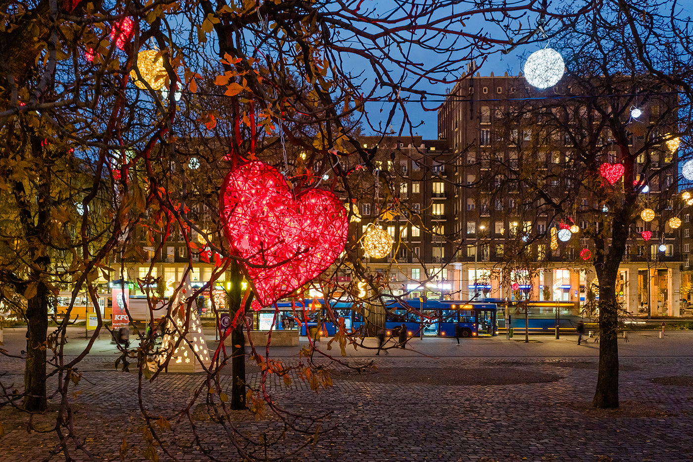 City Hall Park in Christmas lights #1668
