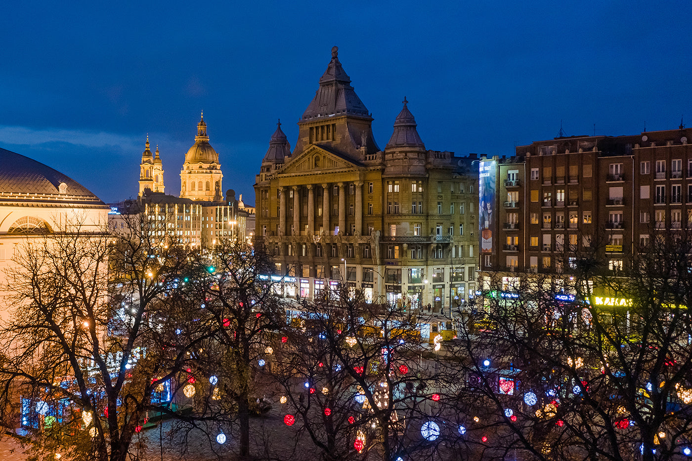 City Hall Park in Christmas lights #1671