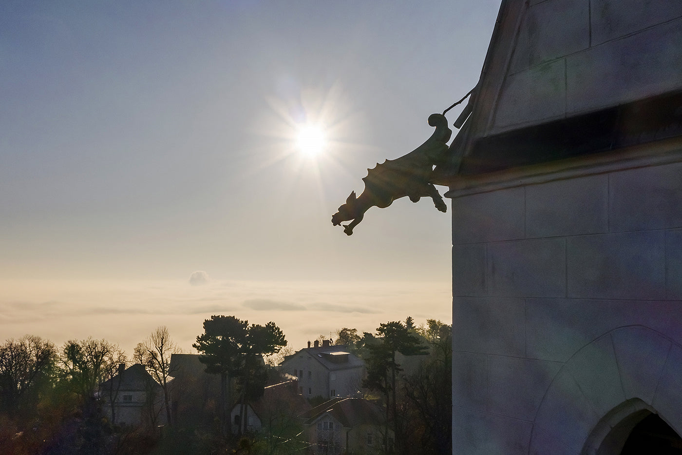 Gargoyle at St. Ladislaus Church in Budapest #1703