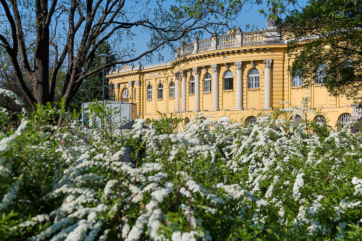 Széchenyi Bath in spring #1855