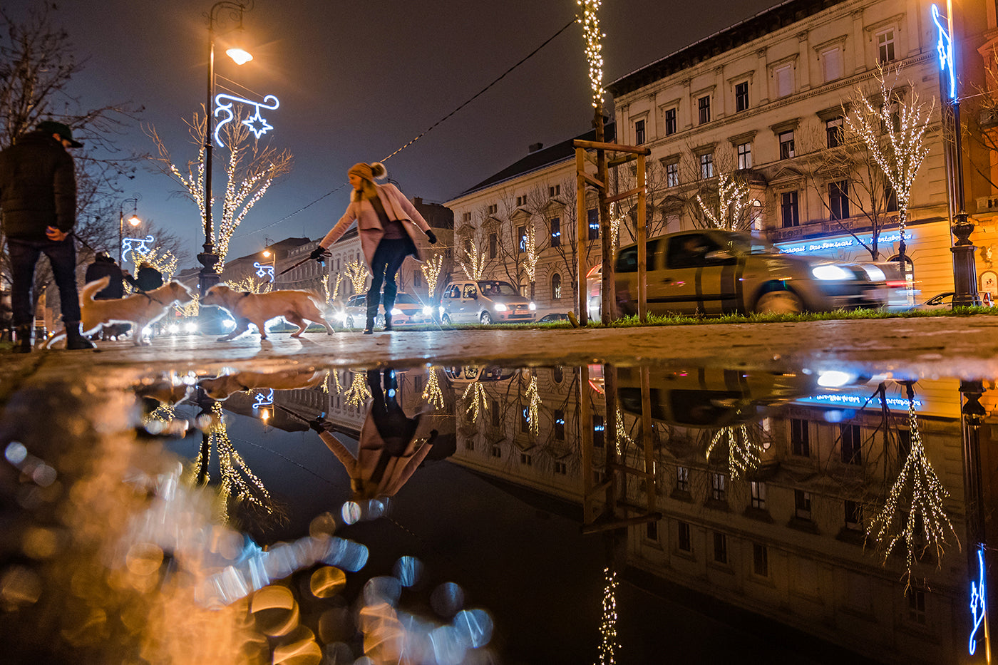 Dog walkers on Andrássy Avenue at Christmas #1885