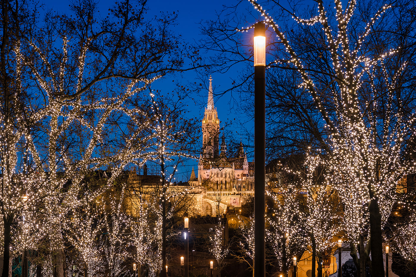 Matthias Church and the Christmas lights of Kossuth Square #1910