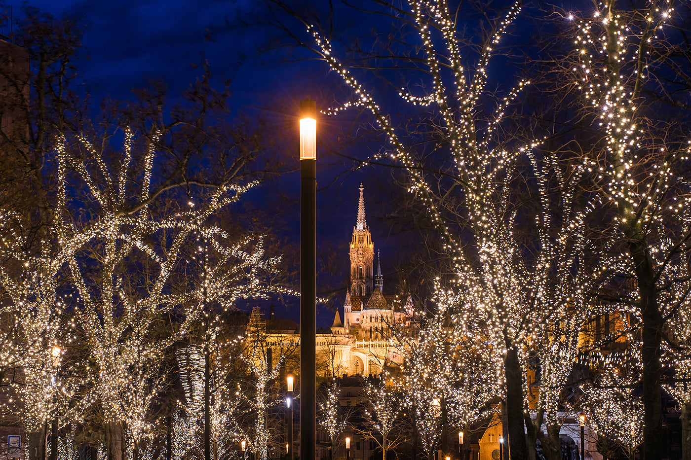 Matthias Church and the Christmas lights of Kossuth Square #1912