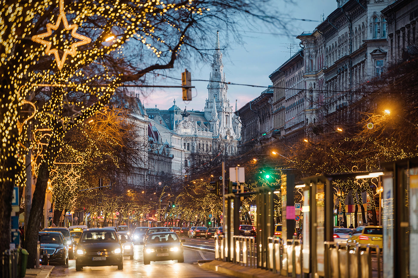 Grand Boulevard in Christmas lights #1927