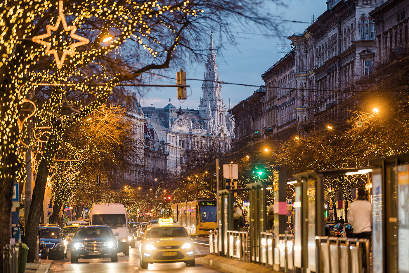 Grand Boulevard in Christmas lights #1928