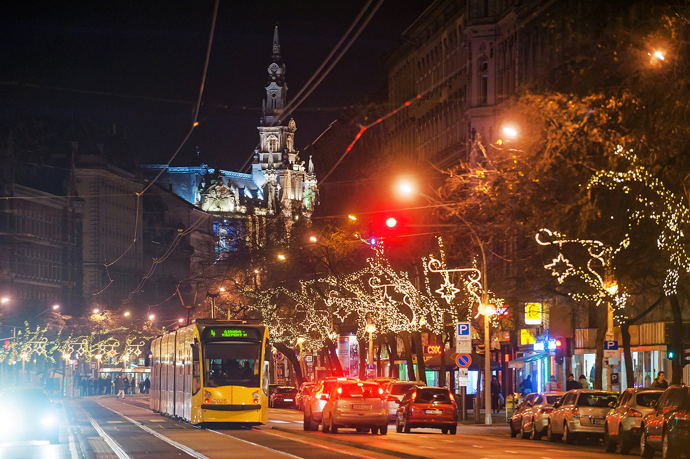 Grand Boulevard in Christmas lights #1933