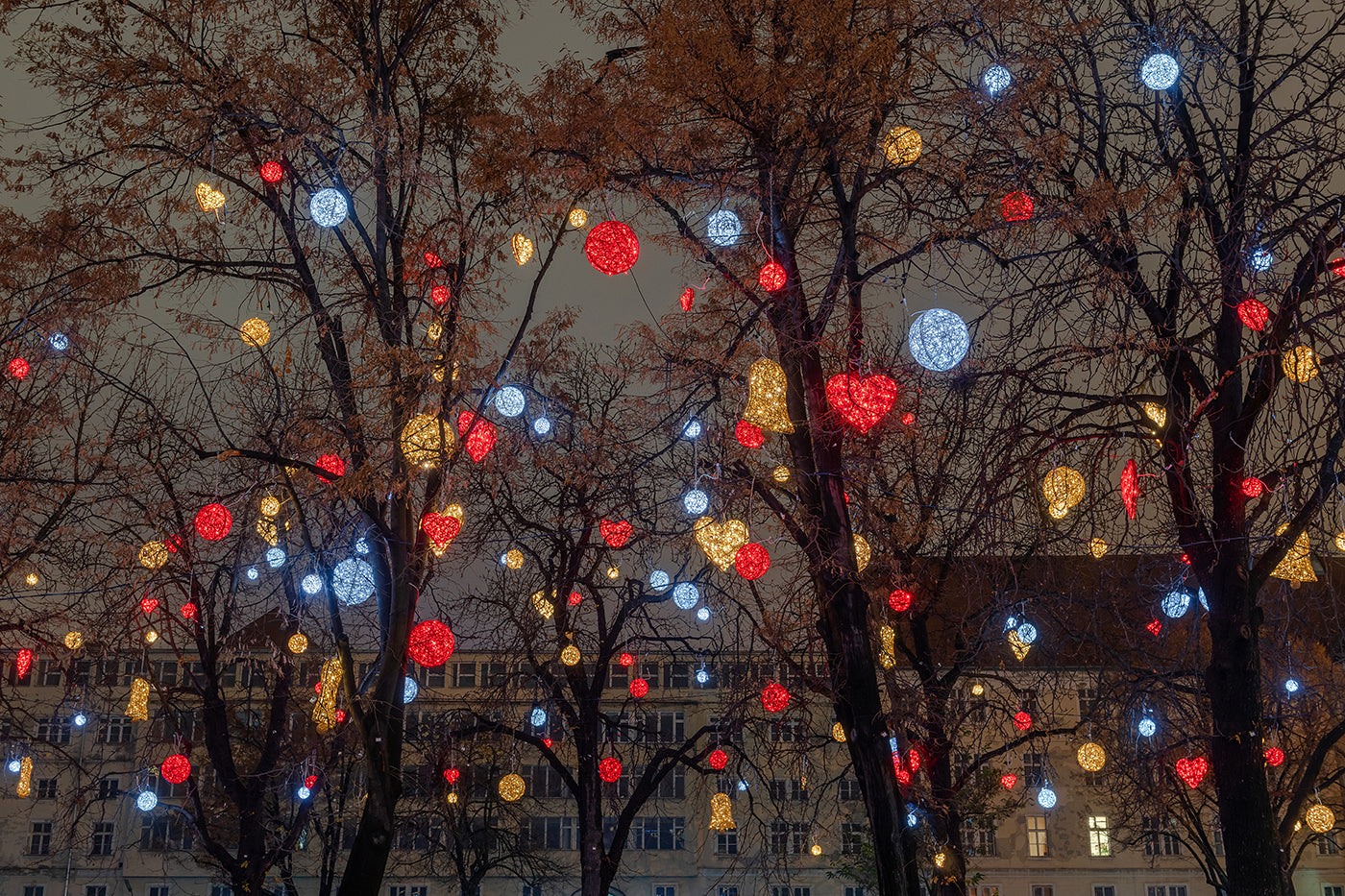 Christmas lights in City Hall Park #1952