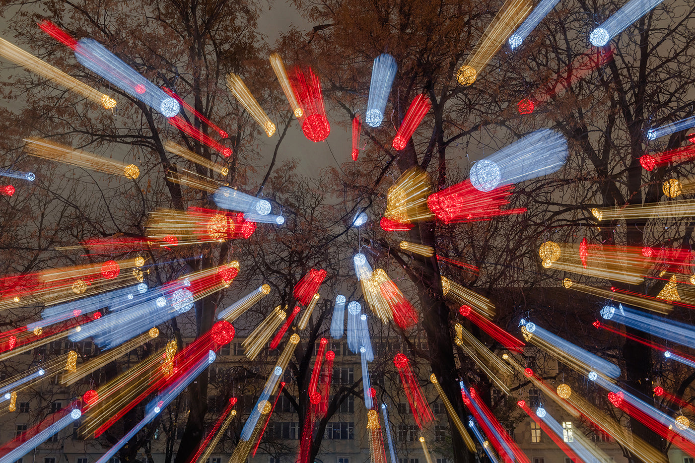 Christmas lights in City Hall Park #1953