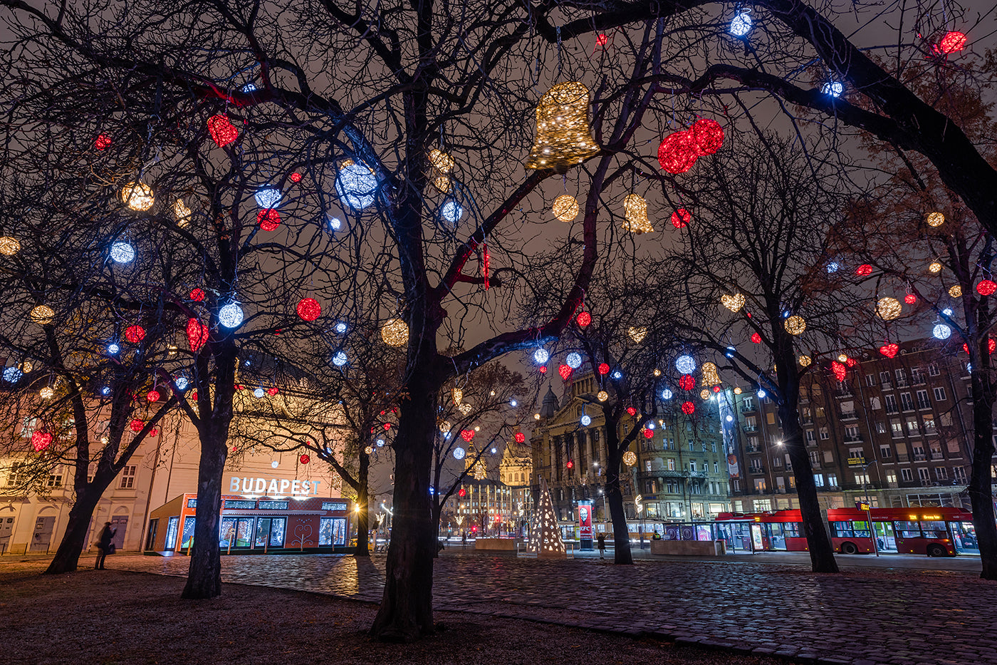 Christmas lights in City Hall Park #1954