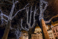Christmas lights at the Parliament #2005