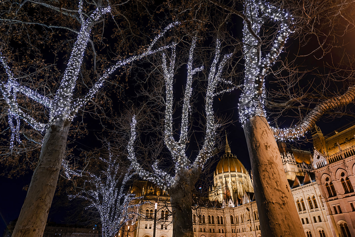 Christmas lights at the Parliament #2005