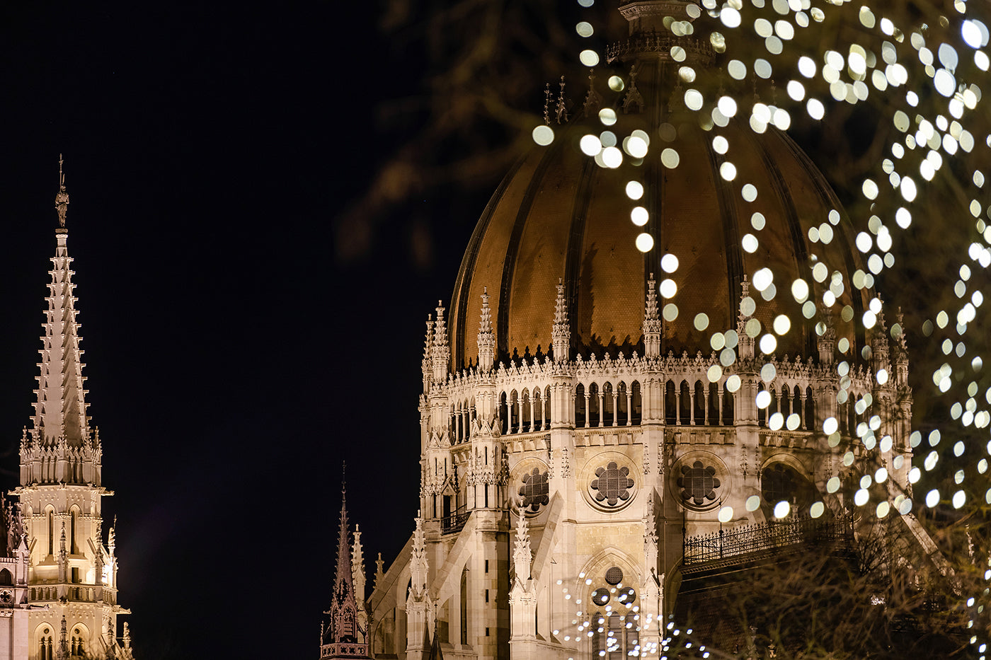 Christmas lights at the Parliament #2009