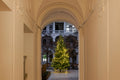 Christmas tree in Óbuda #2033