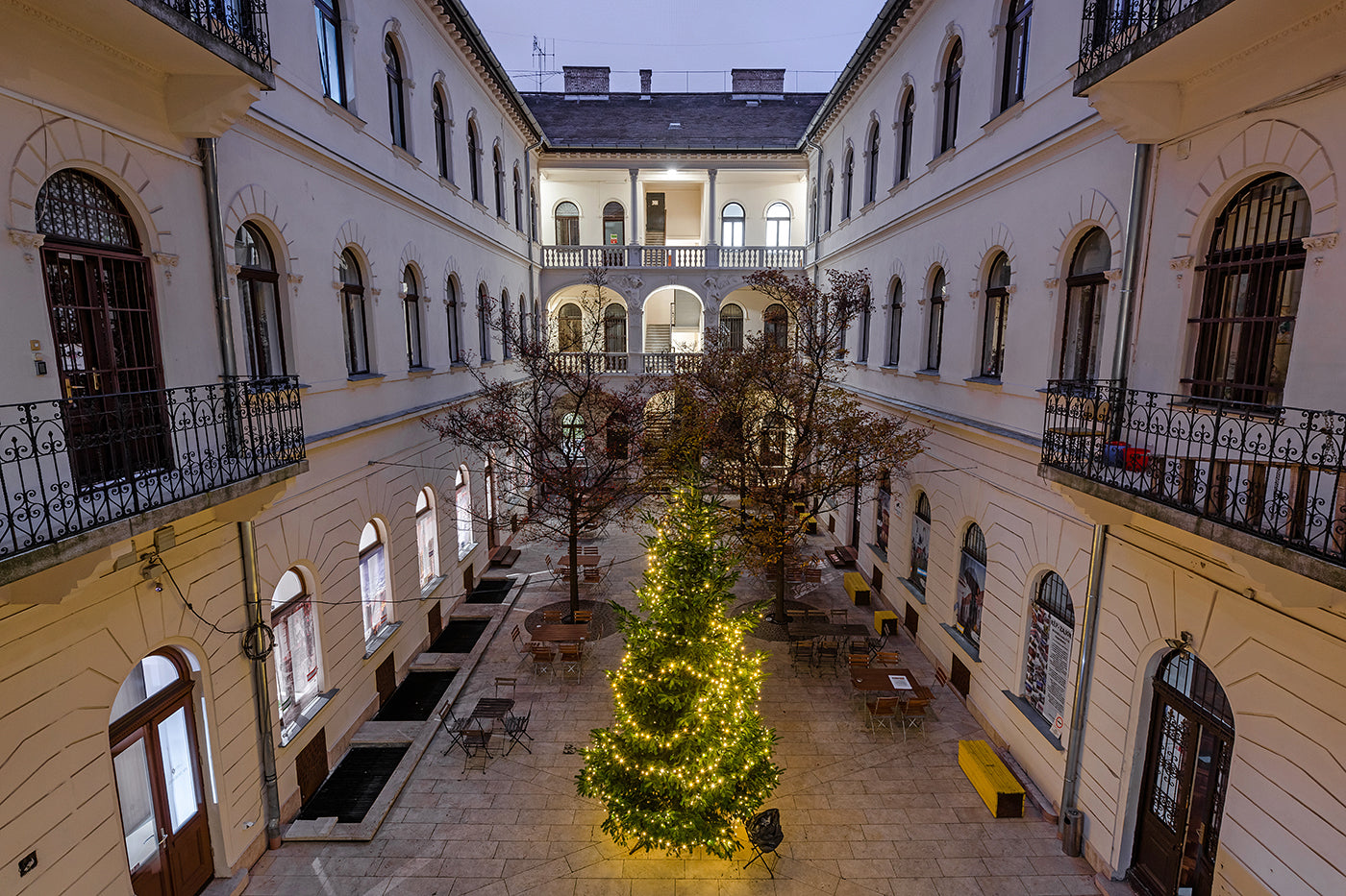 Christmas tree in Óbuda #2035