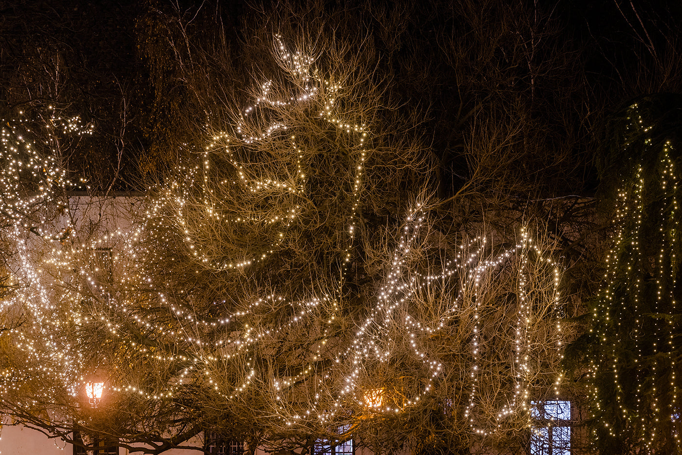 Christmas lights in Óbuda #2037
