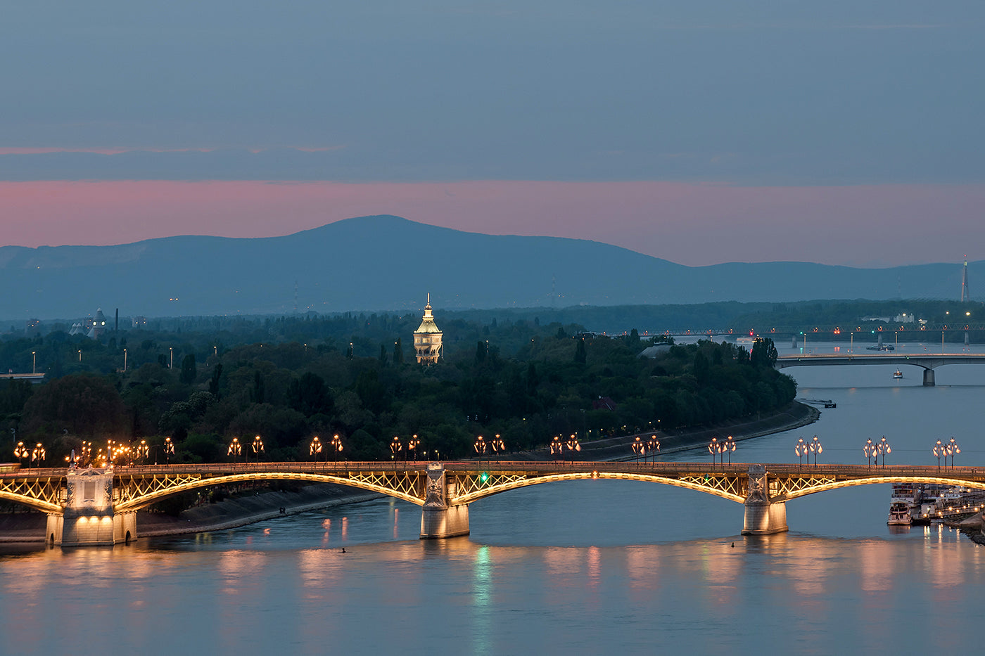 Margaret Bridge and Margaret Island from a distance #2132