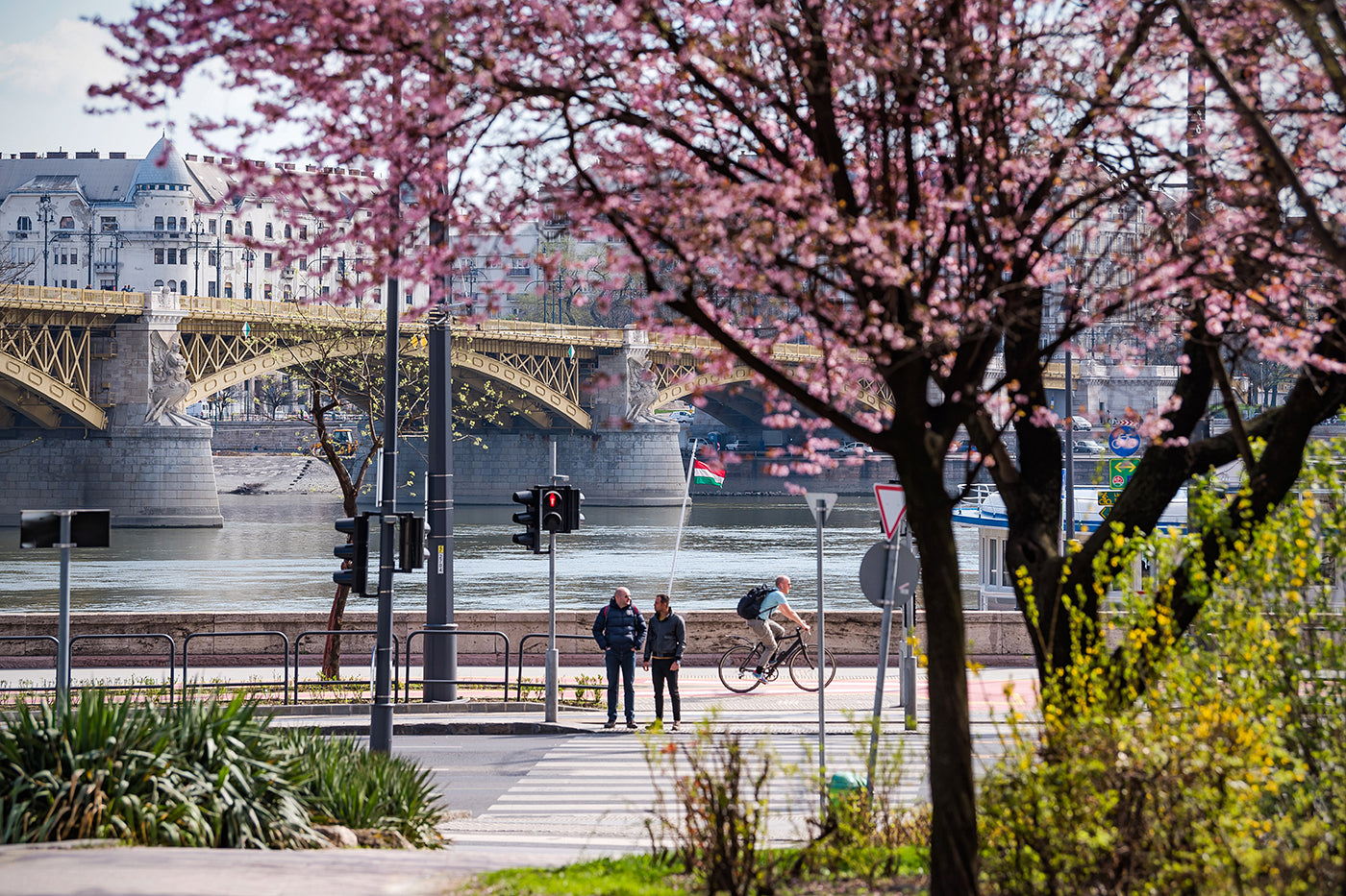 Margaret Bridge in spring #2171