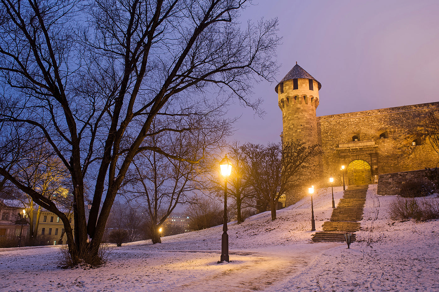 Snowy Buda Castle #2197