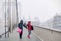 Tourists on the Elizabeth Bridge in winter #2206