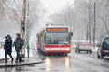 Trolleybus in snowfall on the City Park avenue #2252