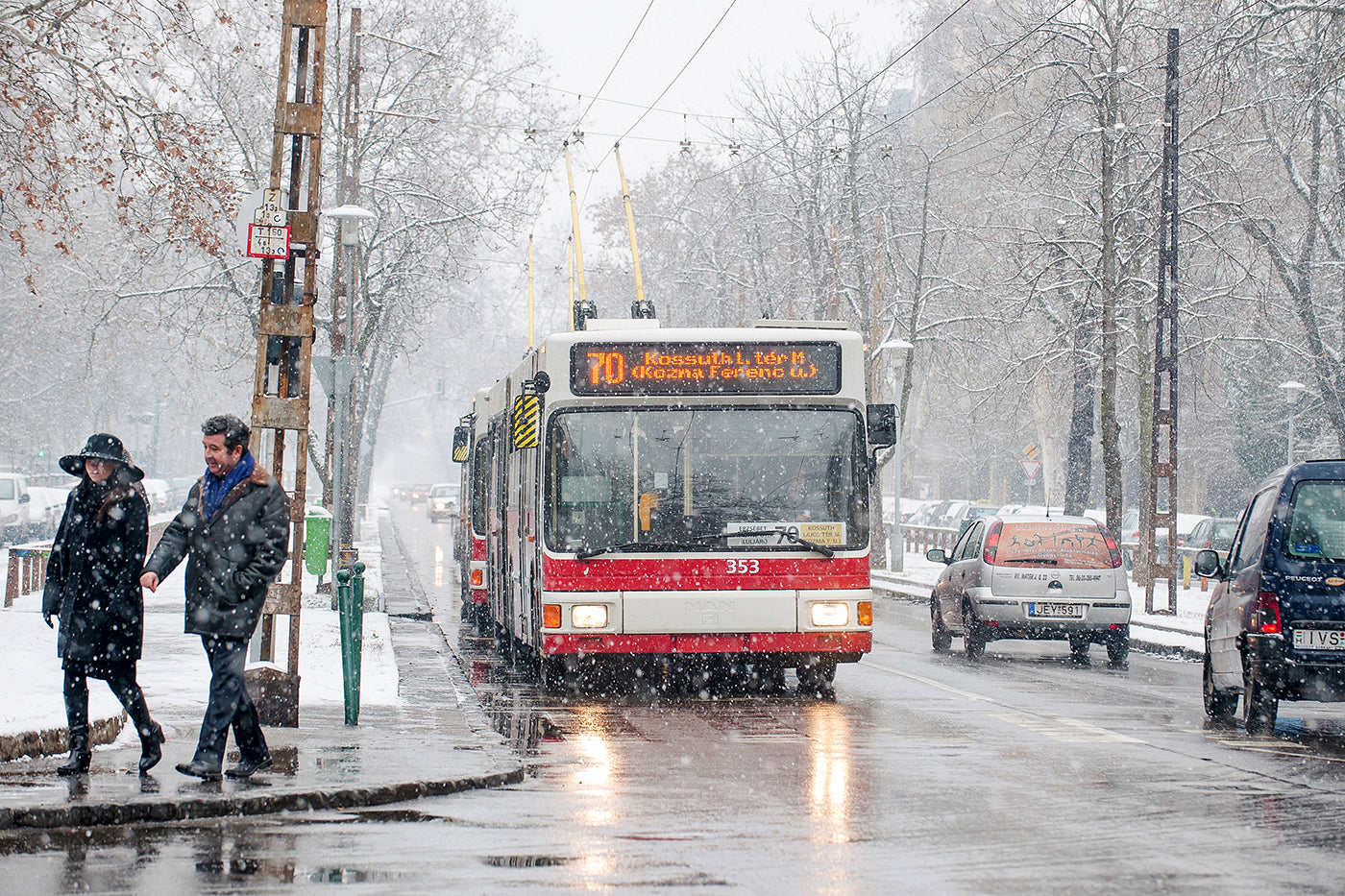 Trolleybus in snowfall on the City Park avenue #2252