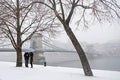 Snowfall at the Chain Bridge #2280