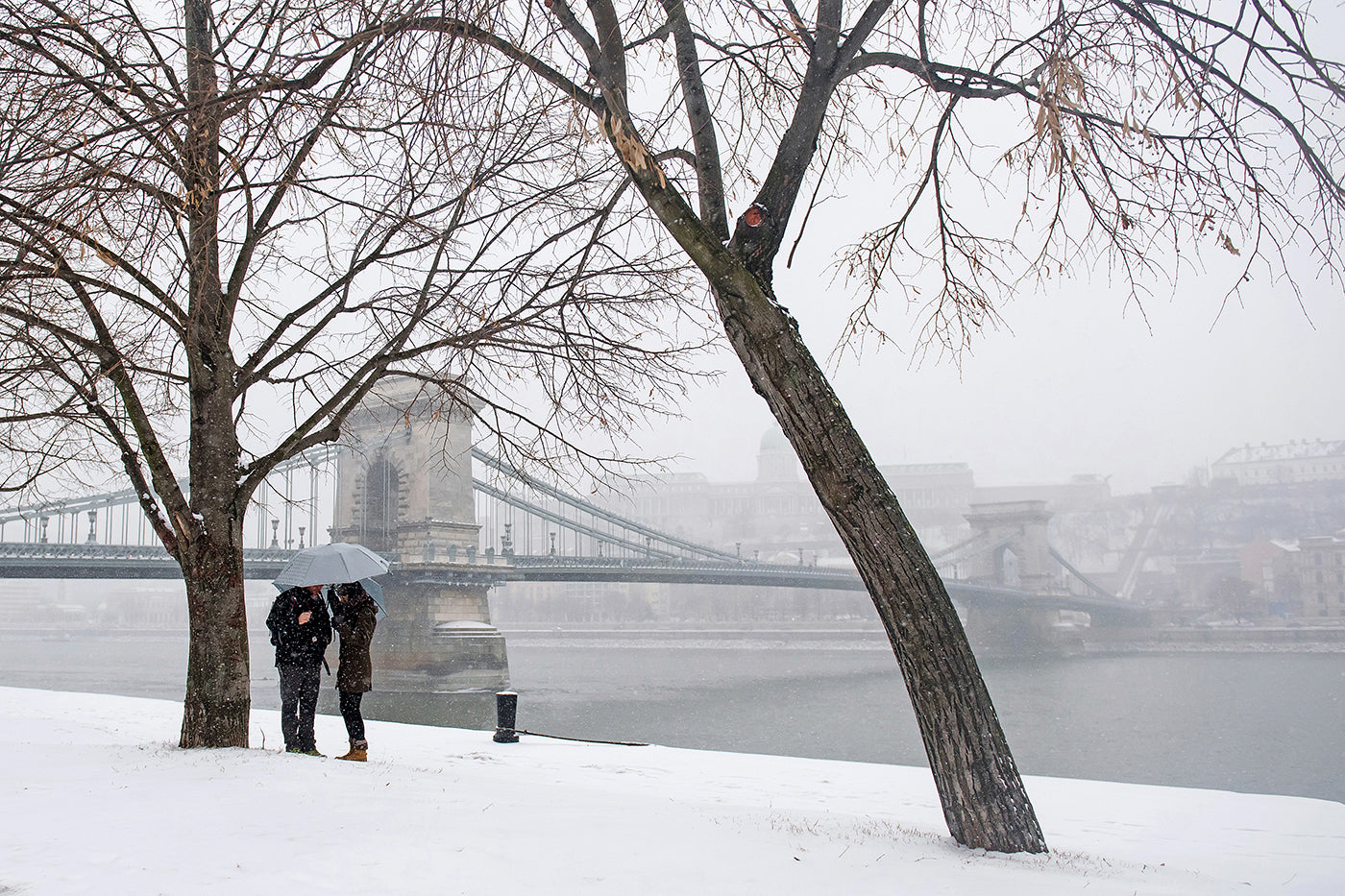 Snowfall at the Chain Bridge #2280