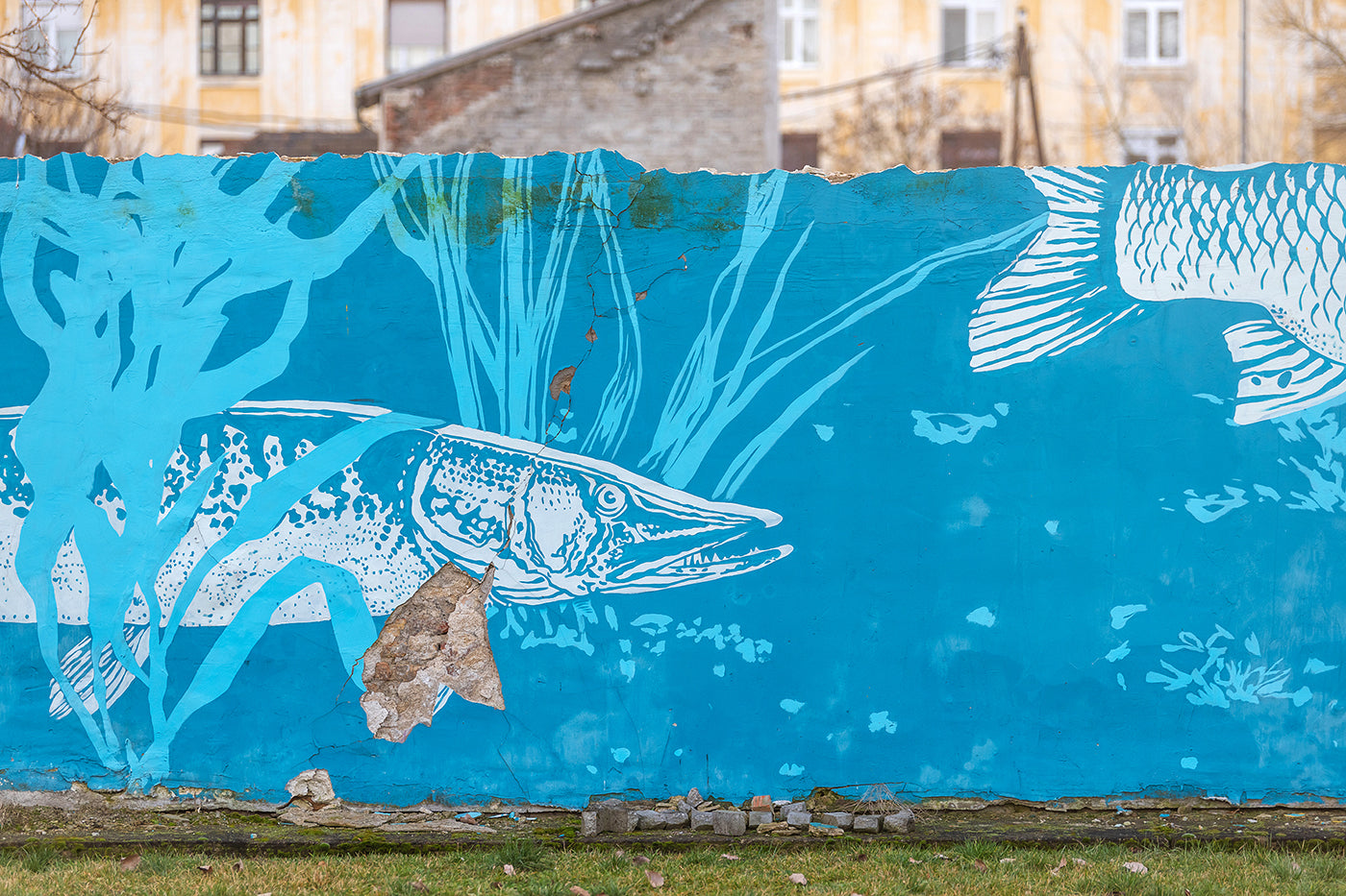 Street art Újpest-Városkapunál #2351