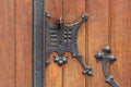 Doorknob on the gate of the Church of Our Lady of Mount Carmel in Budapest #2383