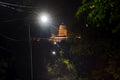 Buda Castle from Istenhegyi Road at night #2459