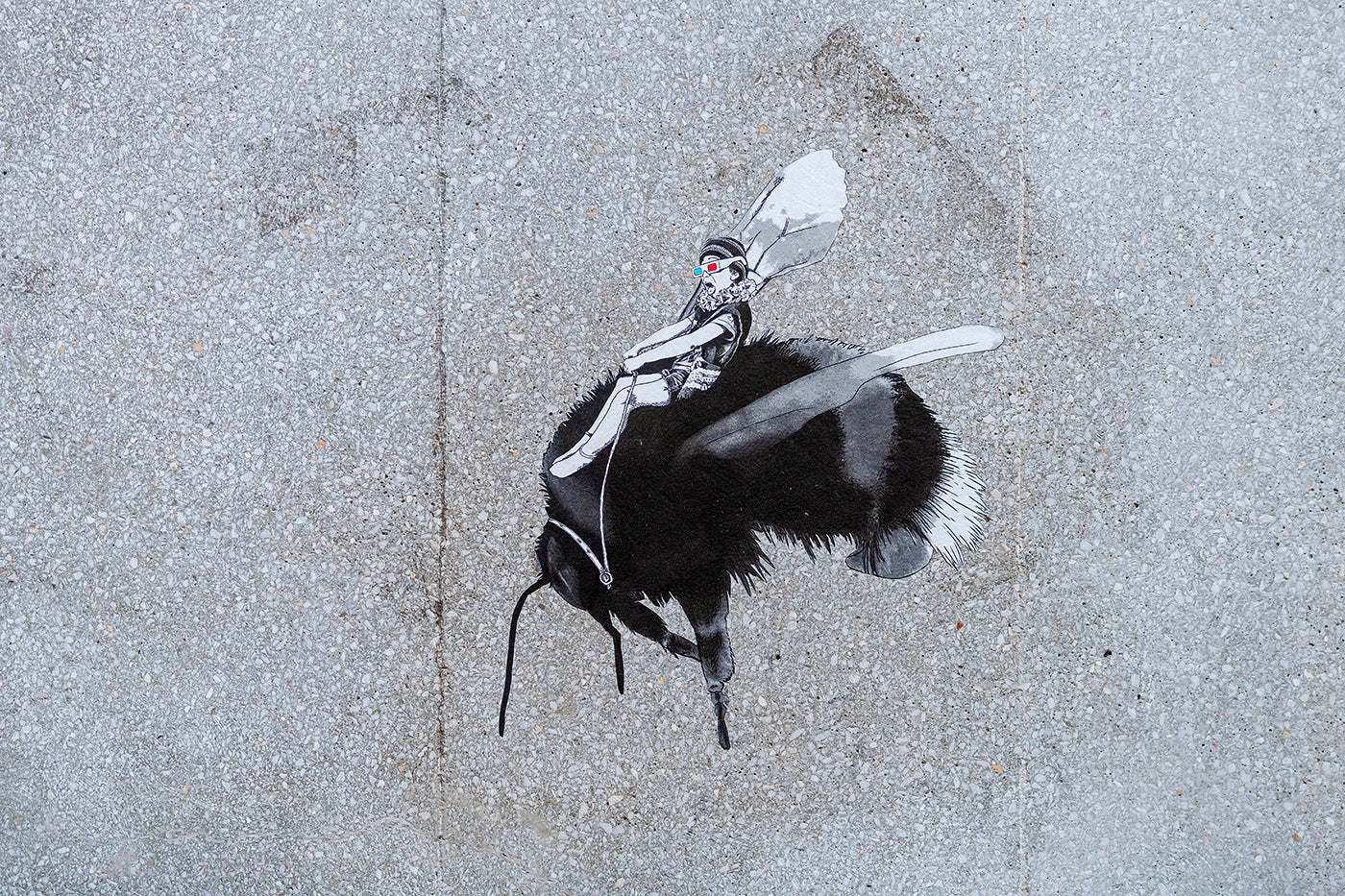Street art a Síp utcában #2478