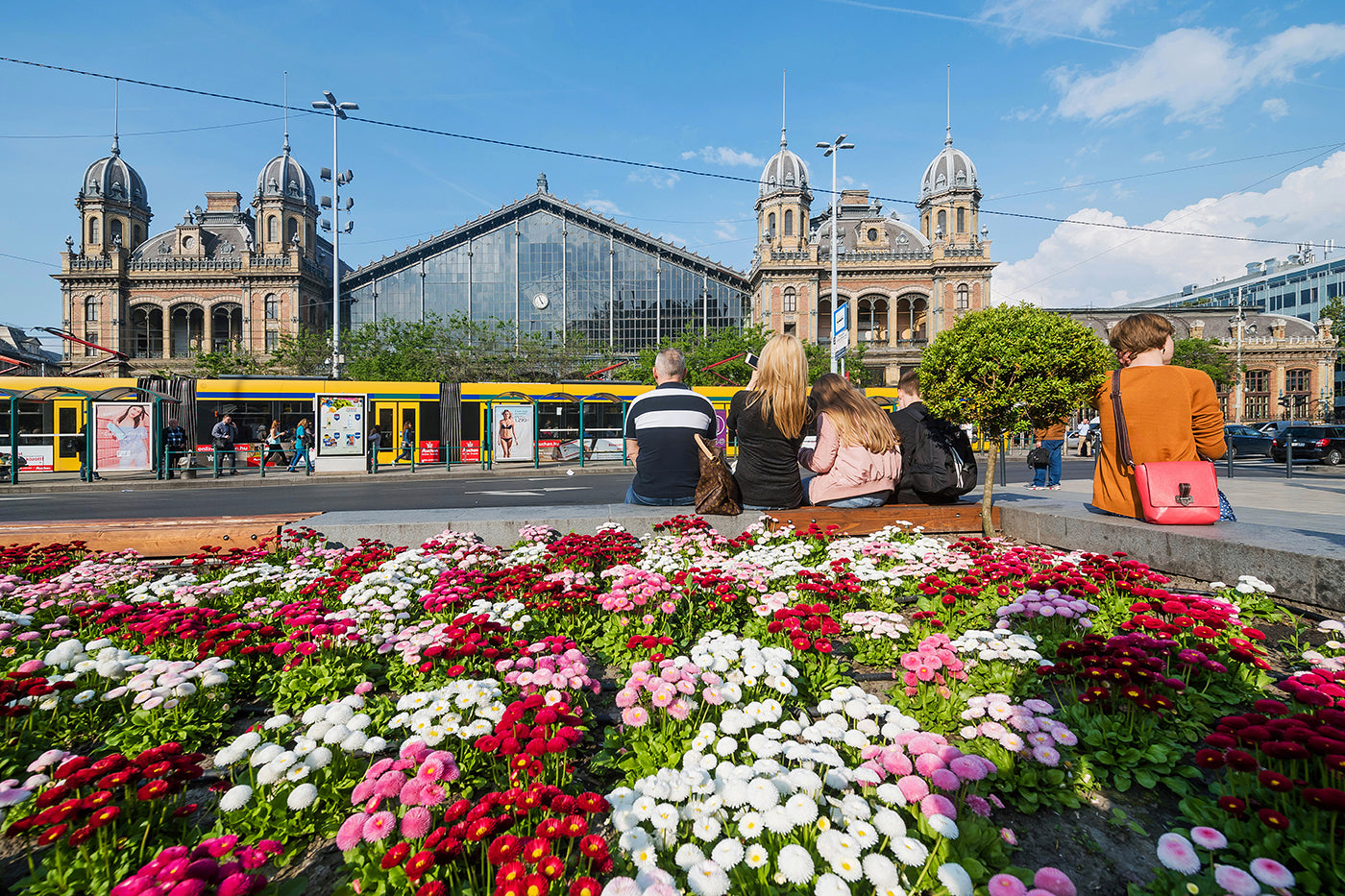 West Square in spring #2523