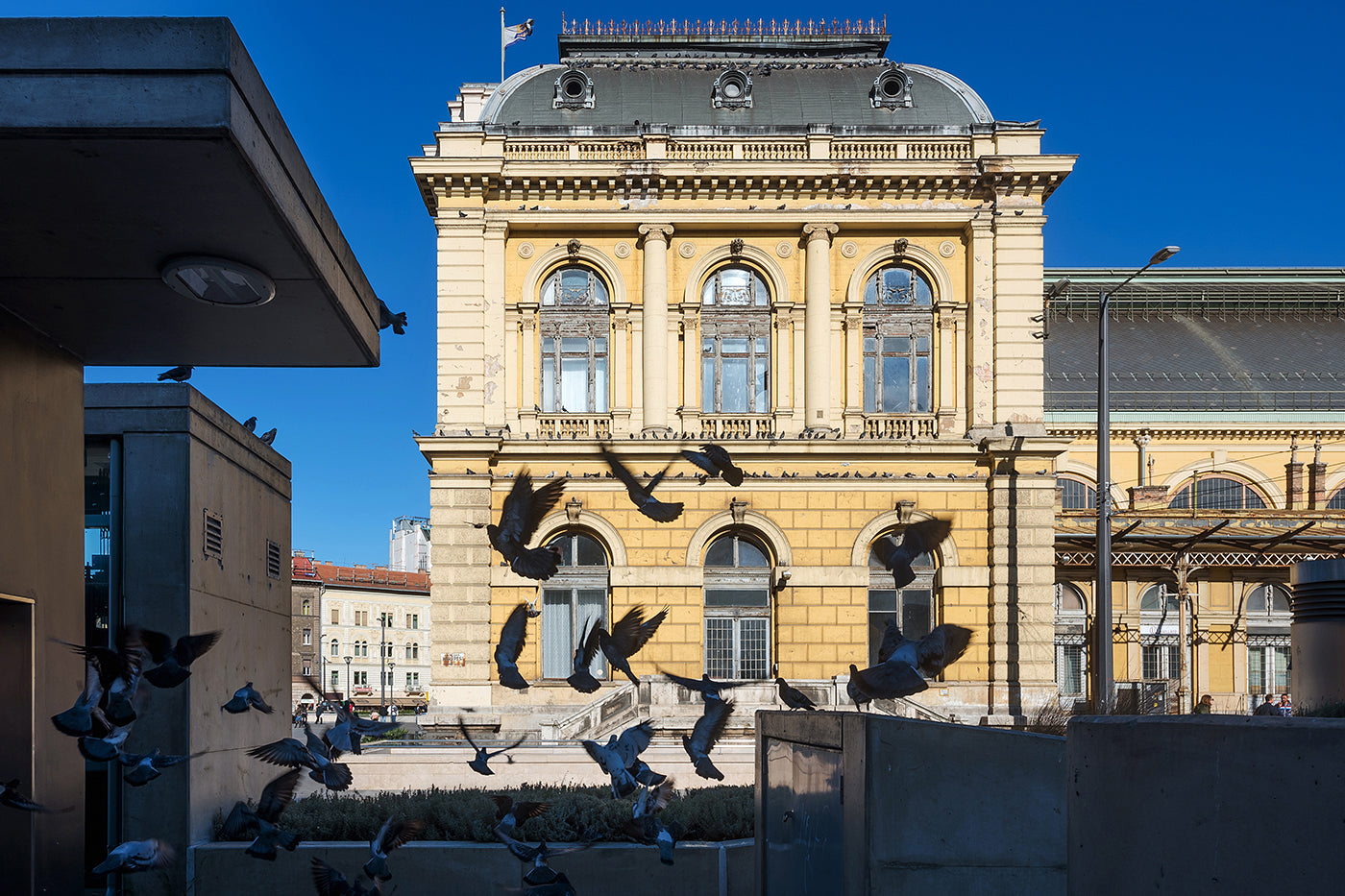 Pigeons at Keleti #2562