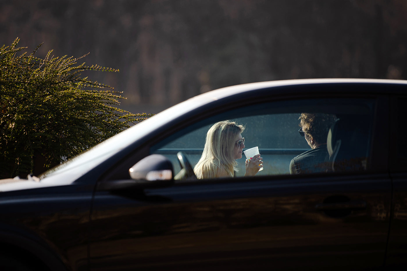 Young people in a car #2710