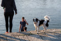 Danube Riverside Scene #2716