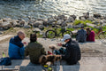 Life on the Danube Bank #2726