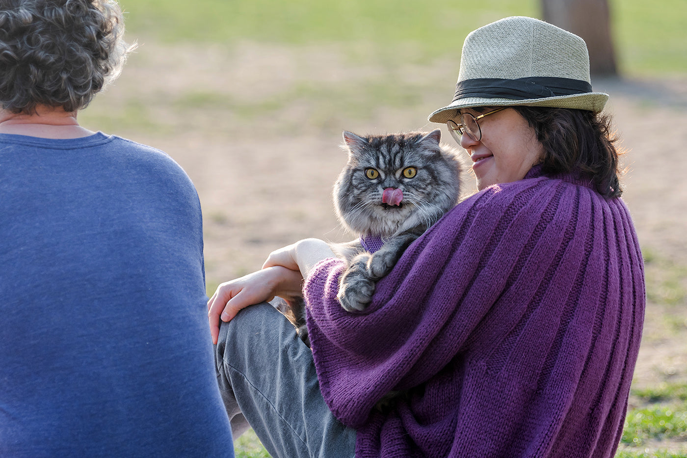 Cat on Nehru Beach #2743