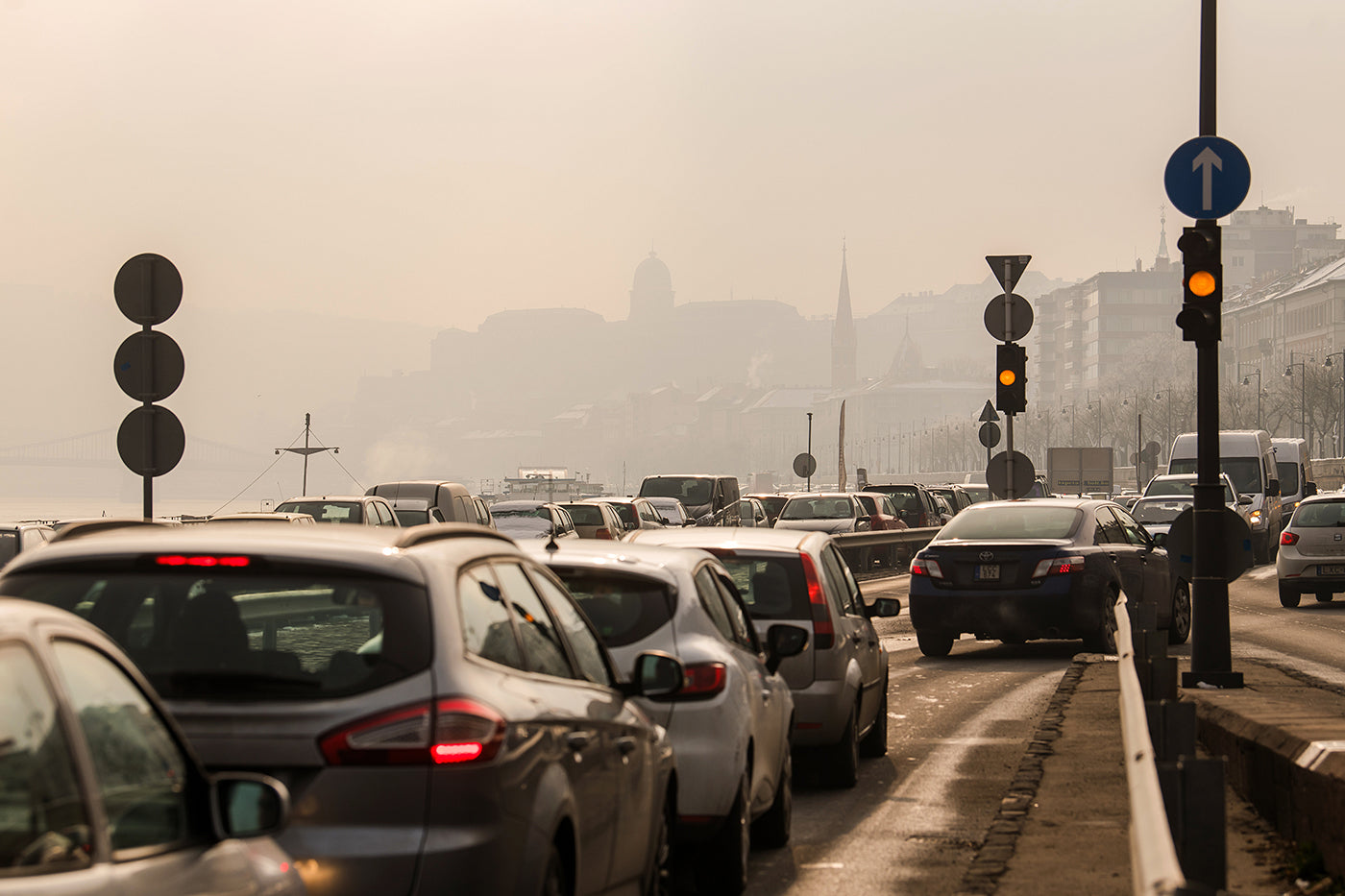 Traffic on the lower quay #2818