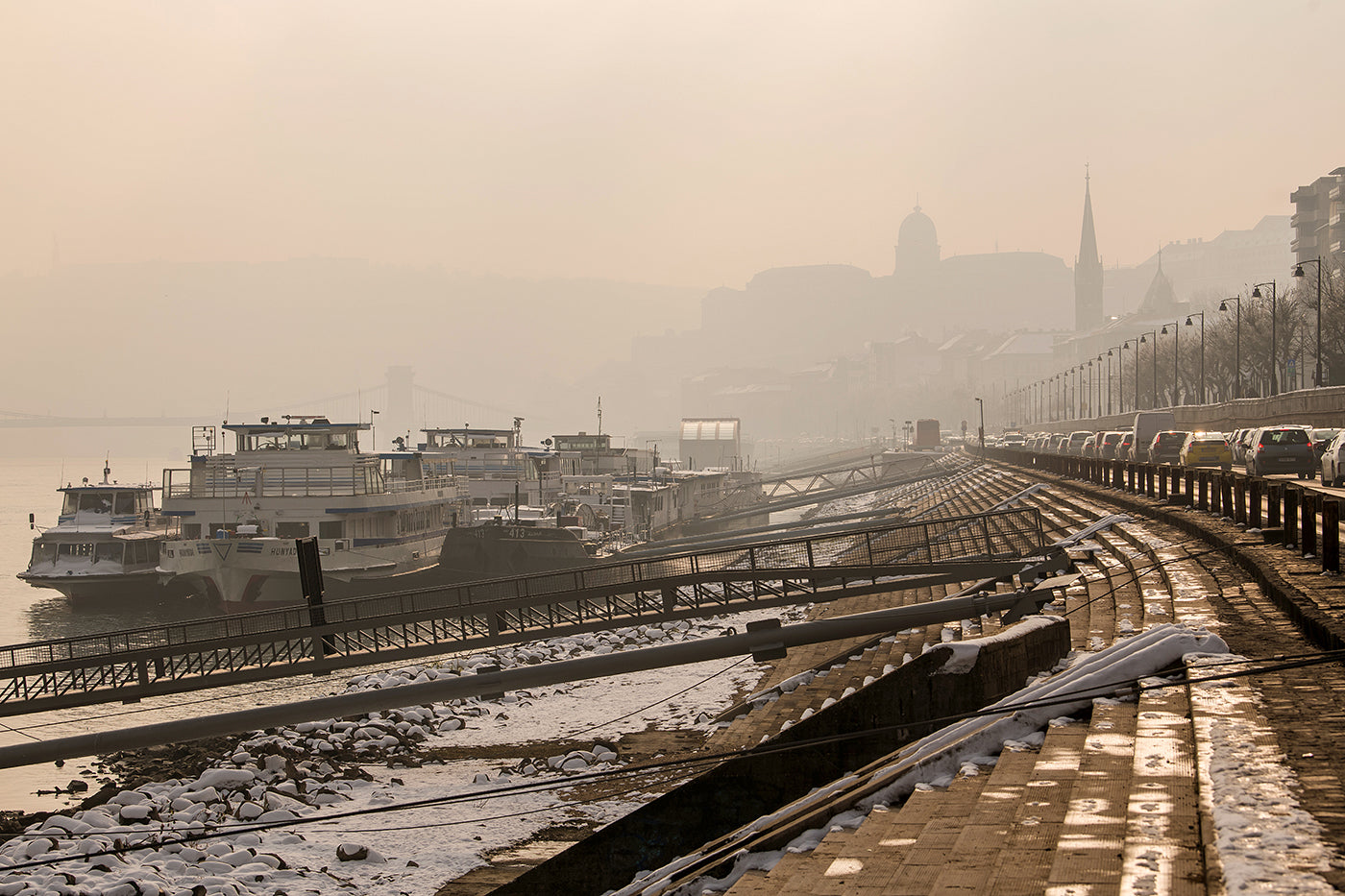Snowy, foggy Danube bank #2819