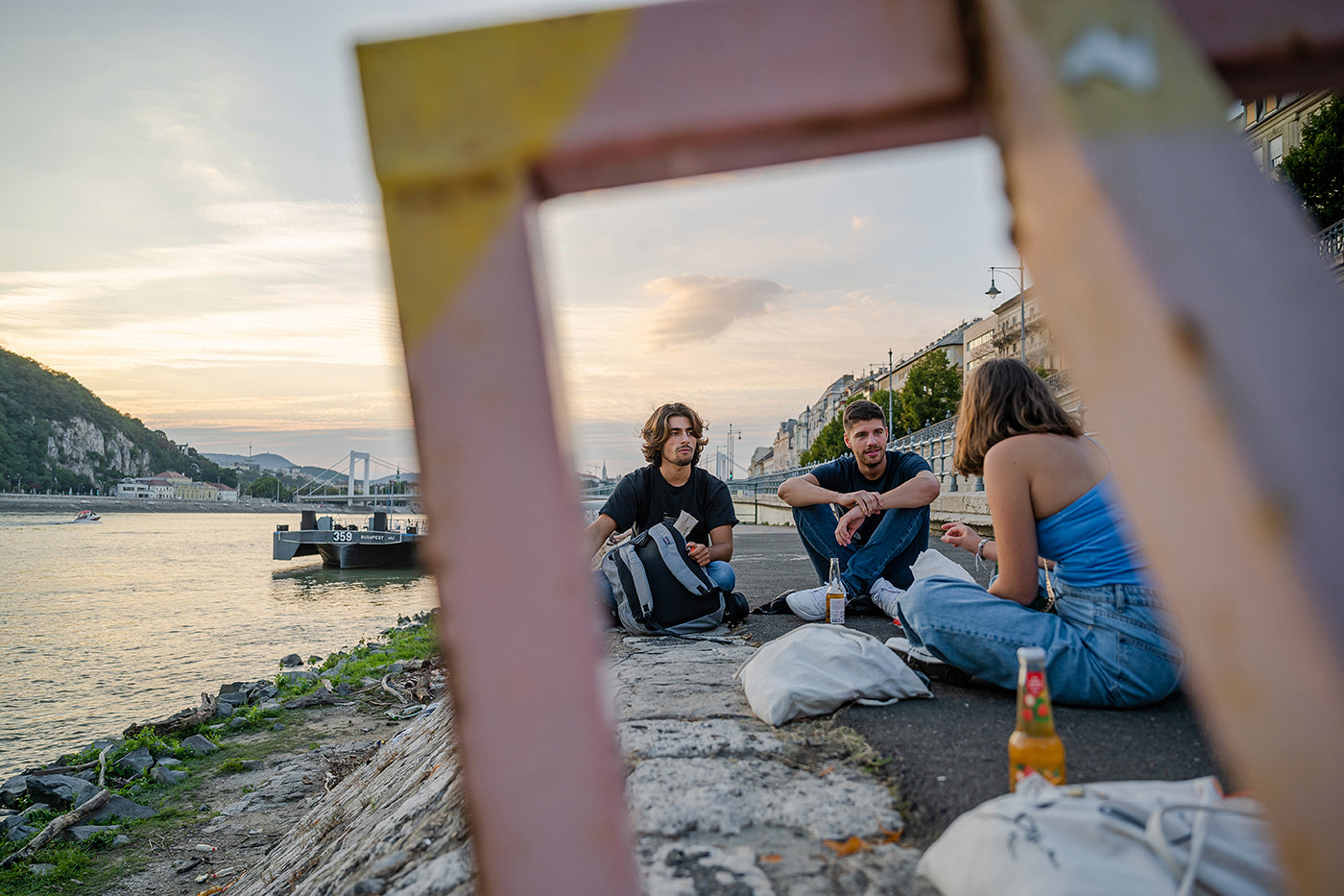 Young people on the Danube Bank #2830